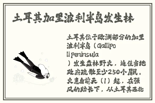 精品国产日韩在线人成